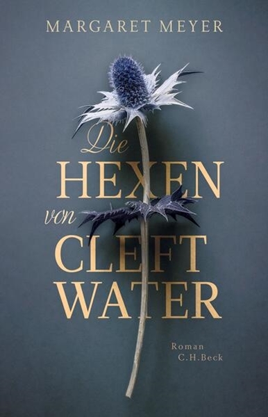 Bild von Meyer, Margaret: Die Hexen von Cleftwater